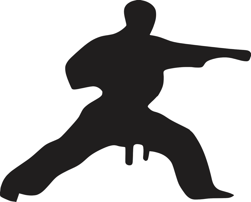 karate, martial, arts-312471.jpg